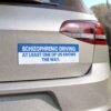 Schizophrenic Driving: At Least One of Us Knows the Way Magnet sticker