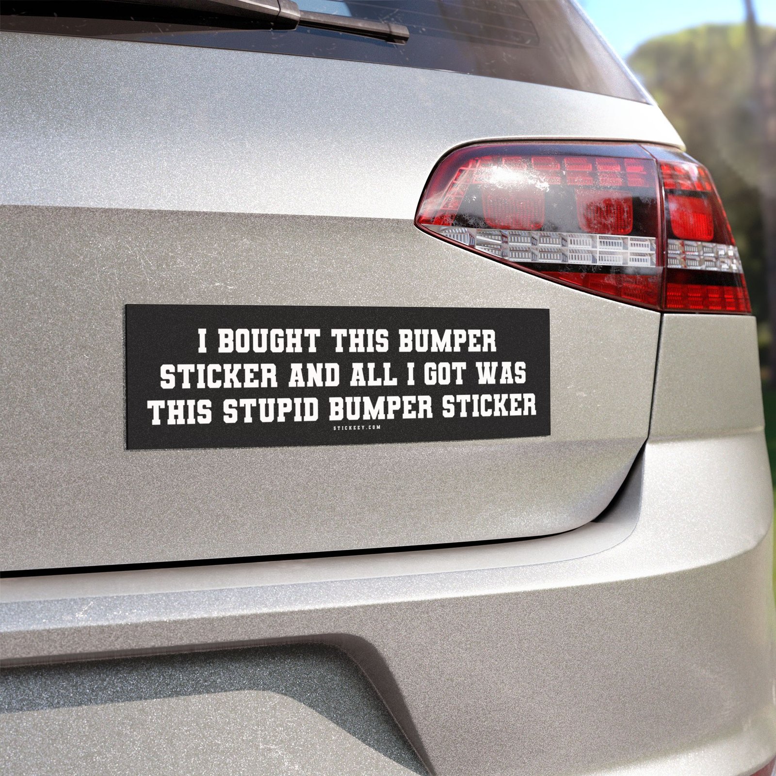 I Bought This Bumper Sticker And All I Got Was This Stupid Bumper Sticker Magnet Sticker