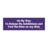 On My Way To Release My Inhibitions and Feel The Rain on My Skin Magnet Sticker