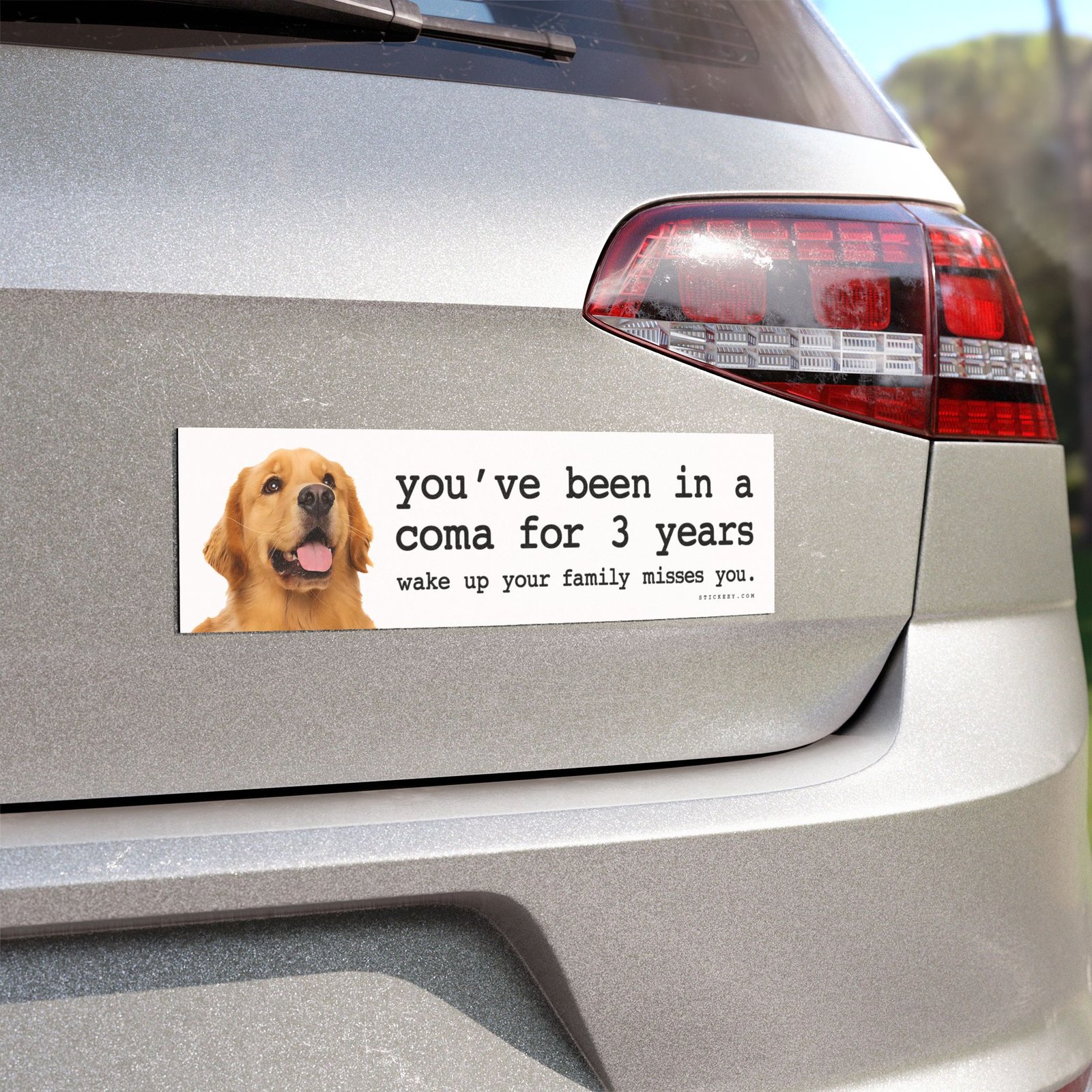 You’ve Been in a Coma for 3 Years Wake Up Your Family Misses You Magnet Sticker