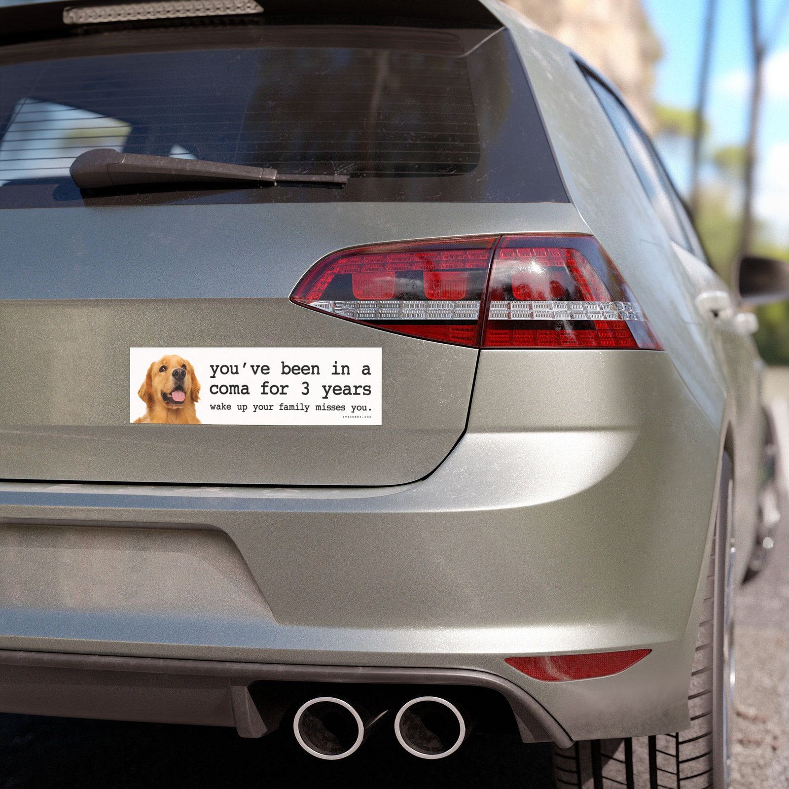 You’ve Been in a Coma for 3 Years Wake Up Your Family Misses You Magnet Sticker