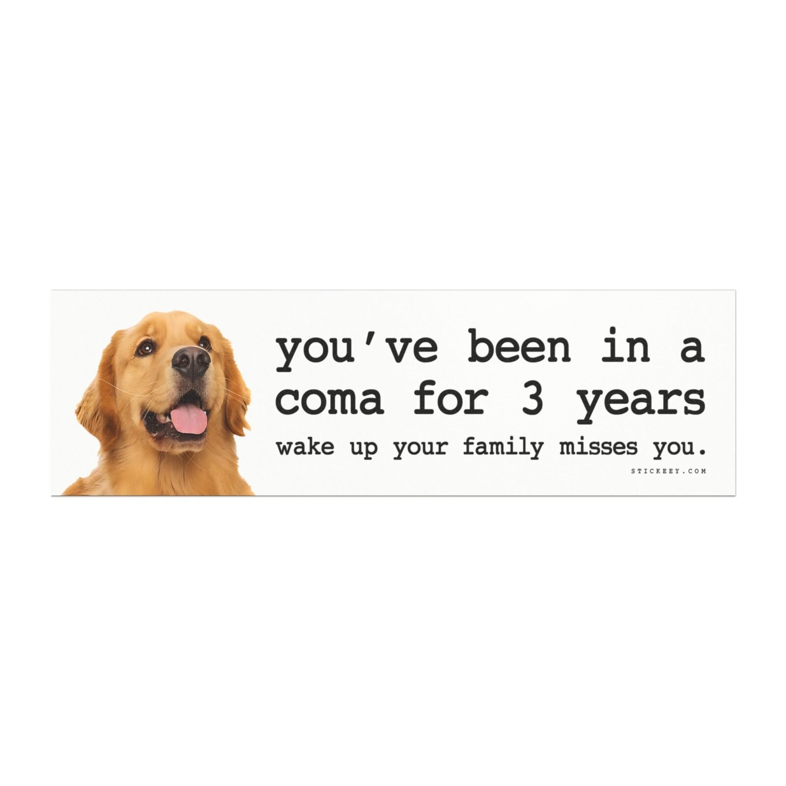 You’ve Been in a Coma for 3 Years Wake Up Your Family Misses You Magnet Sticker