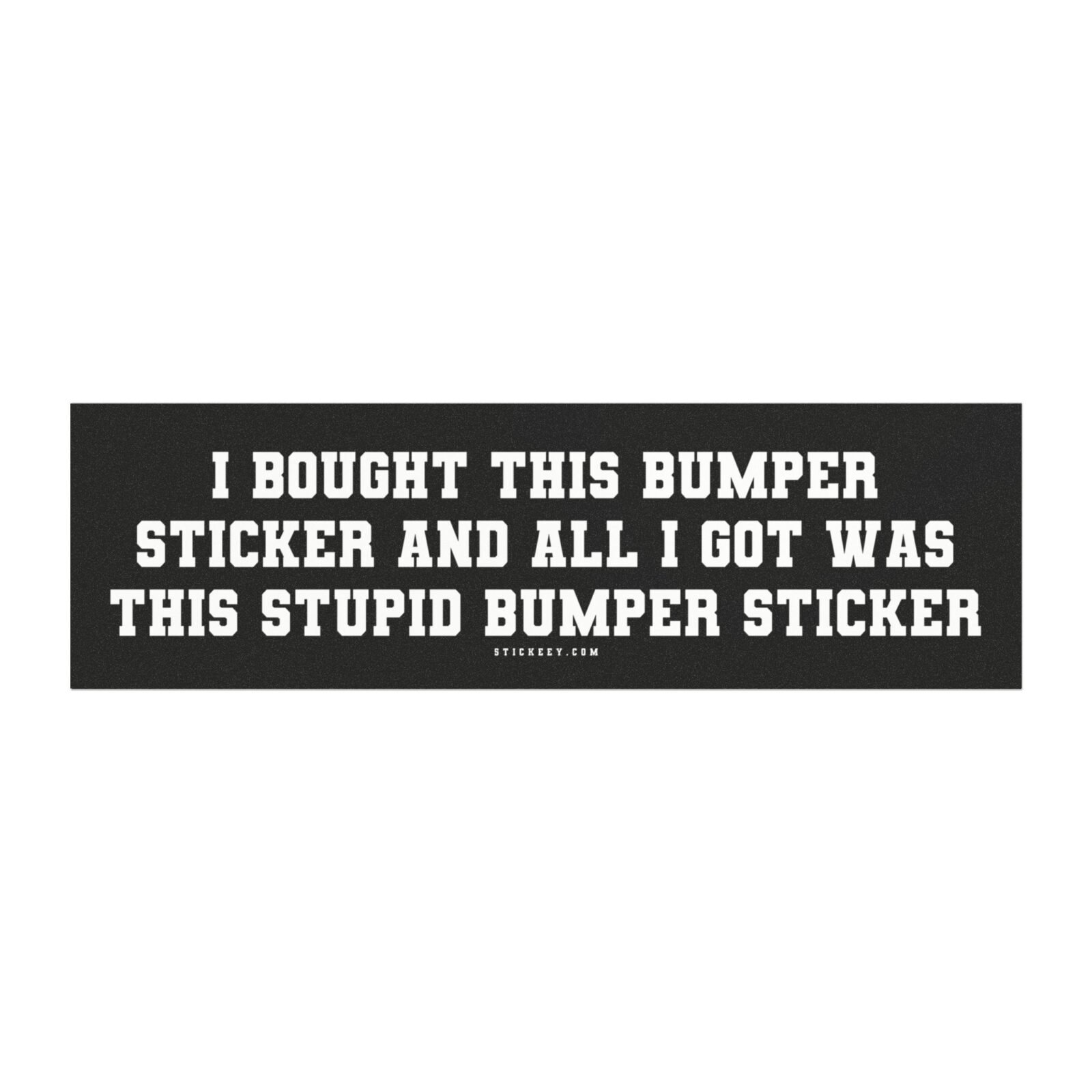 I Bought This Bumper Sticker And All I Got Was This Stupid Bumper Sticker Magnet Sticker