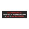 Keep Honking!!! I’m Sitting in My Car Screaming to Djo’s “Mr. Mountebank” Magnet Sticker