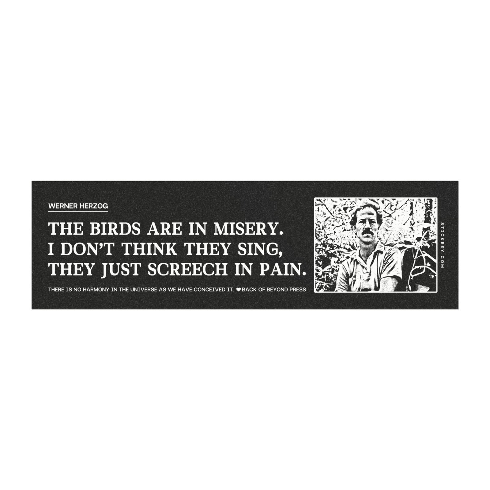 Werner Herzog The Birds Are in Misery