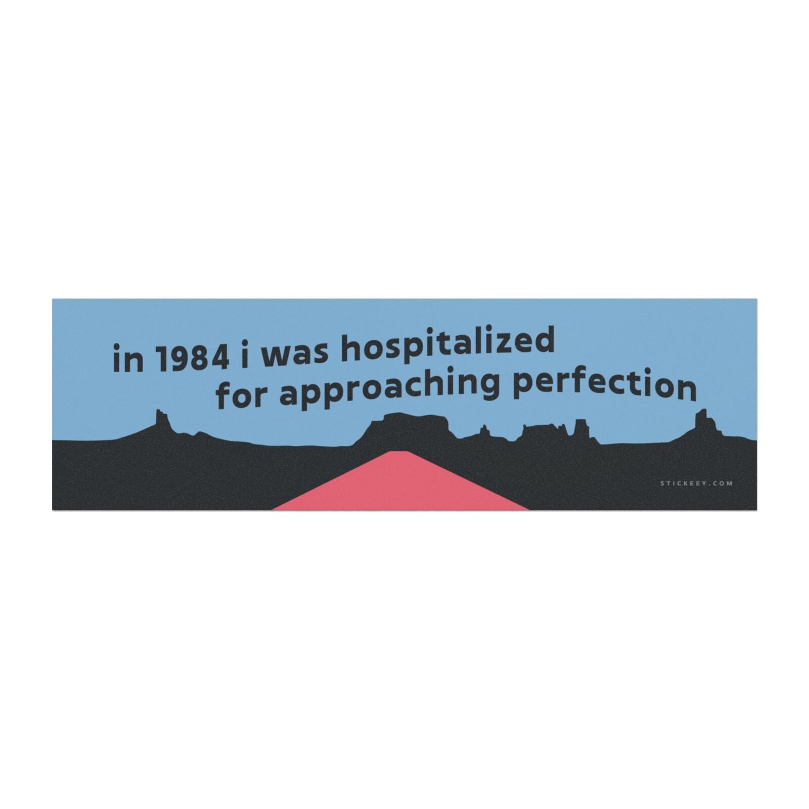In 1984 I Was Hospitalized for Approaching Perfection Magnet Sticker