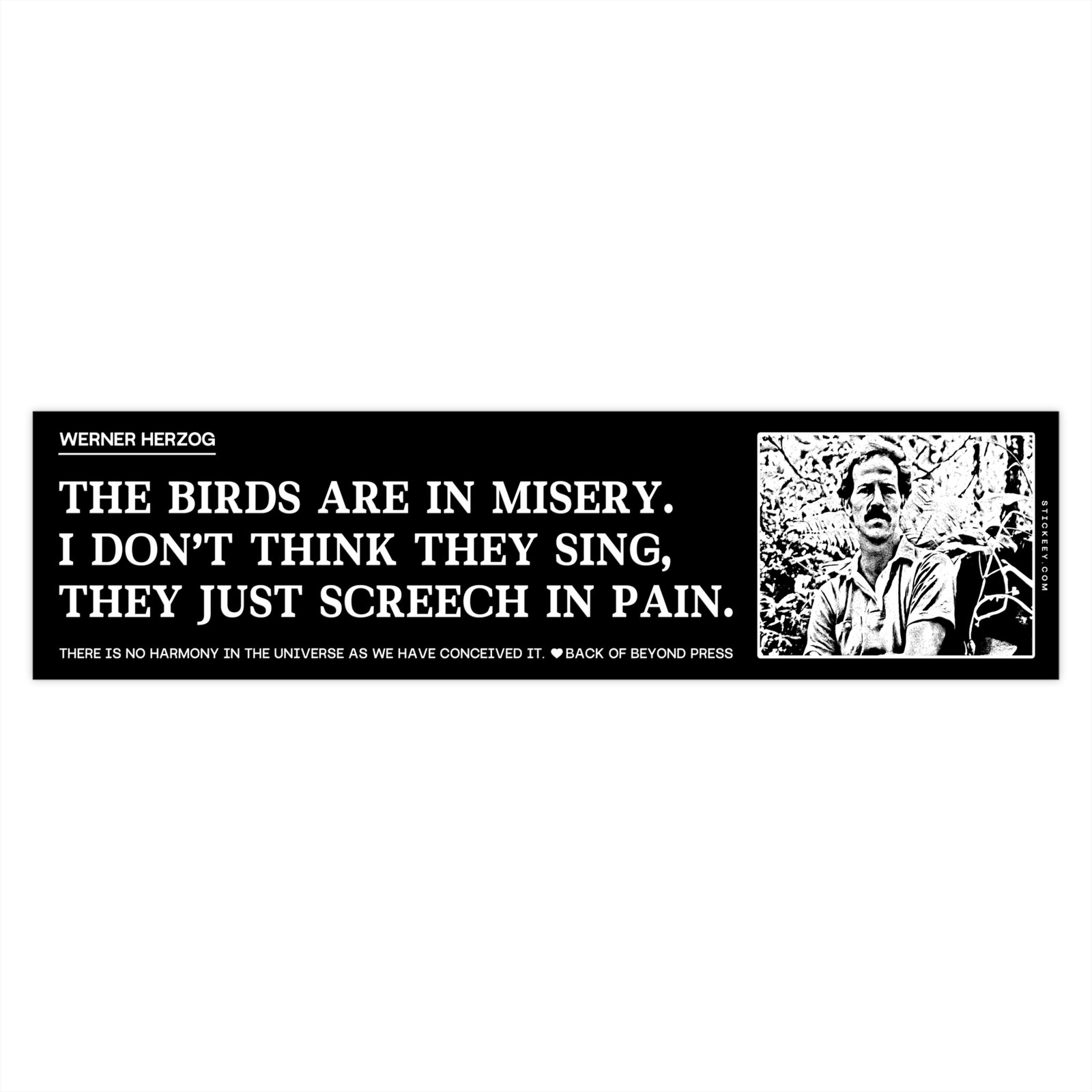 Werner Herzog The Birds Are in Misery Bumper Sticker