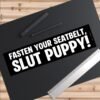 Fasten Your Seatbelt Slut Puppy