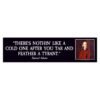 Cold One After You Tar and Feather a Tyrant Samuel Adams Bumper Sticker