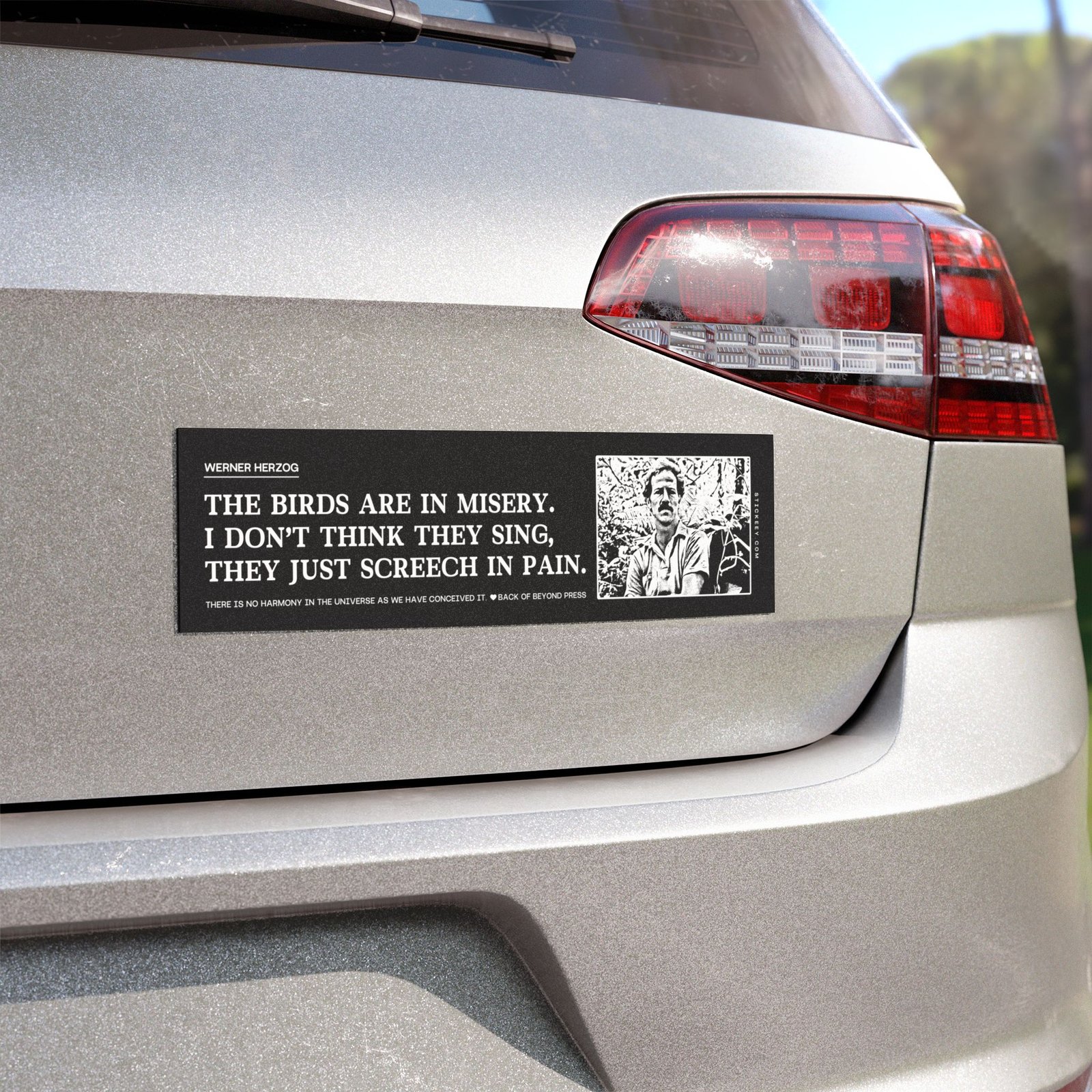 Werner Herzog The Birds Are in Misery Magnet Sticker