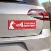Honk If You Have a Smooth Brain Magnet Sticker